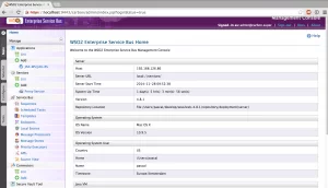 esb-mgt-console