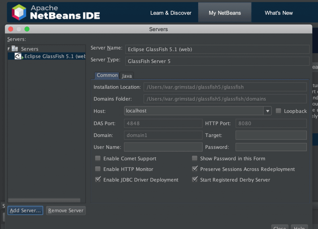 download glassfish 5.1 for netbeans 8.2