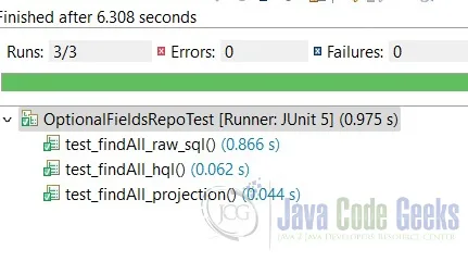 Jpa Optional Field Tests